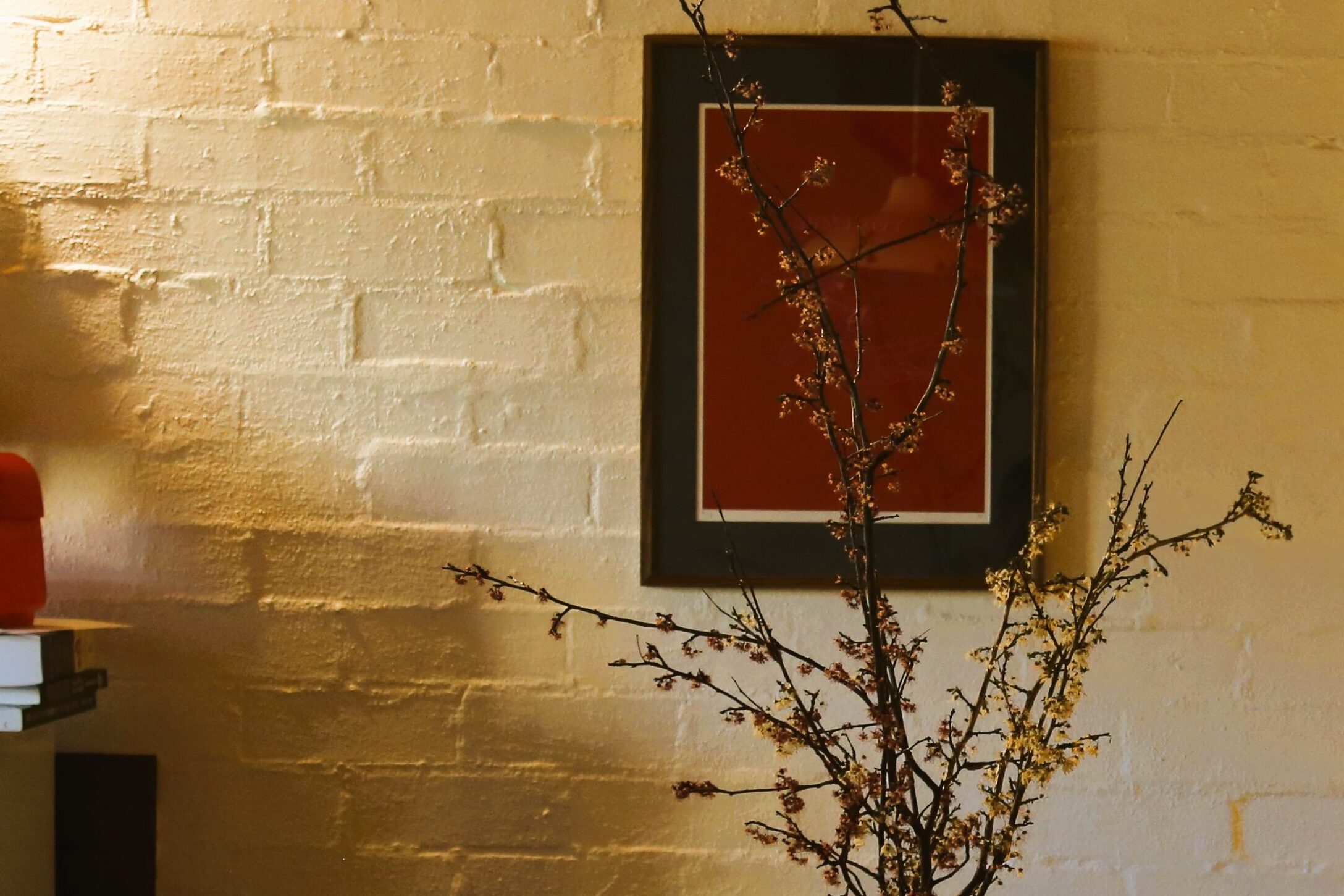 Sydney plant branches with a framed red artwork behind it on a cream wall